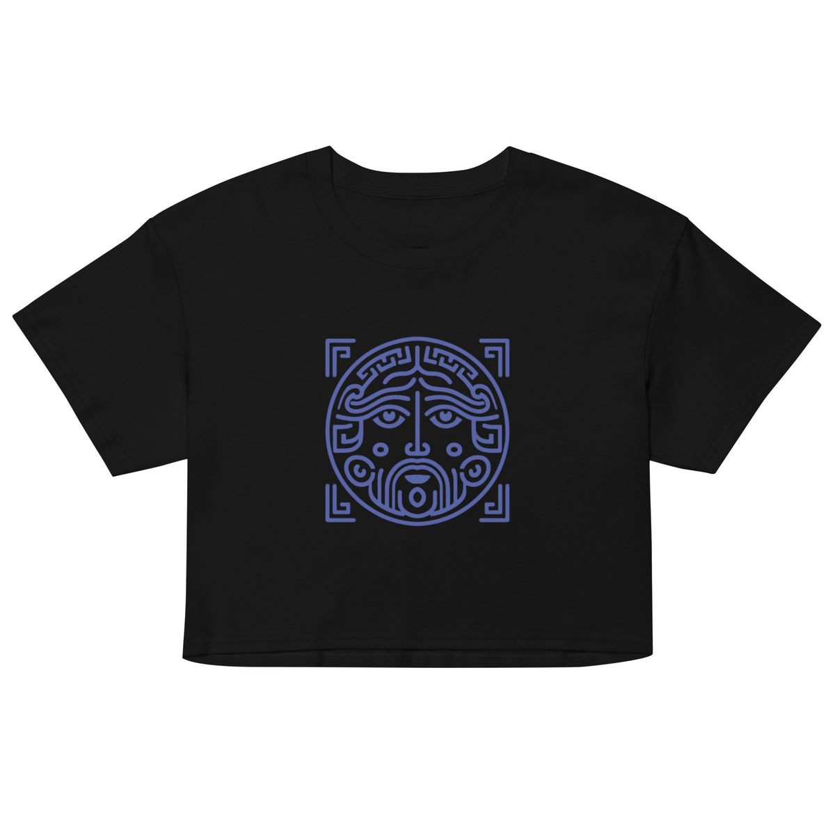 hellenic-inspired crop top