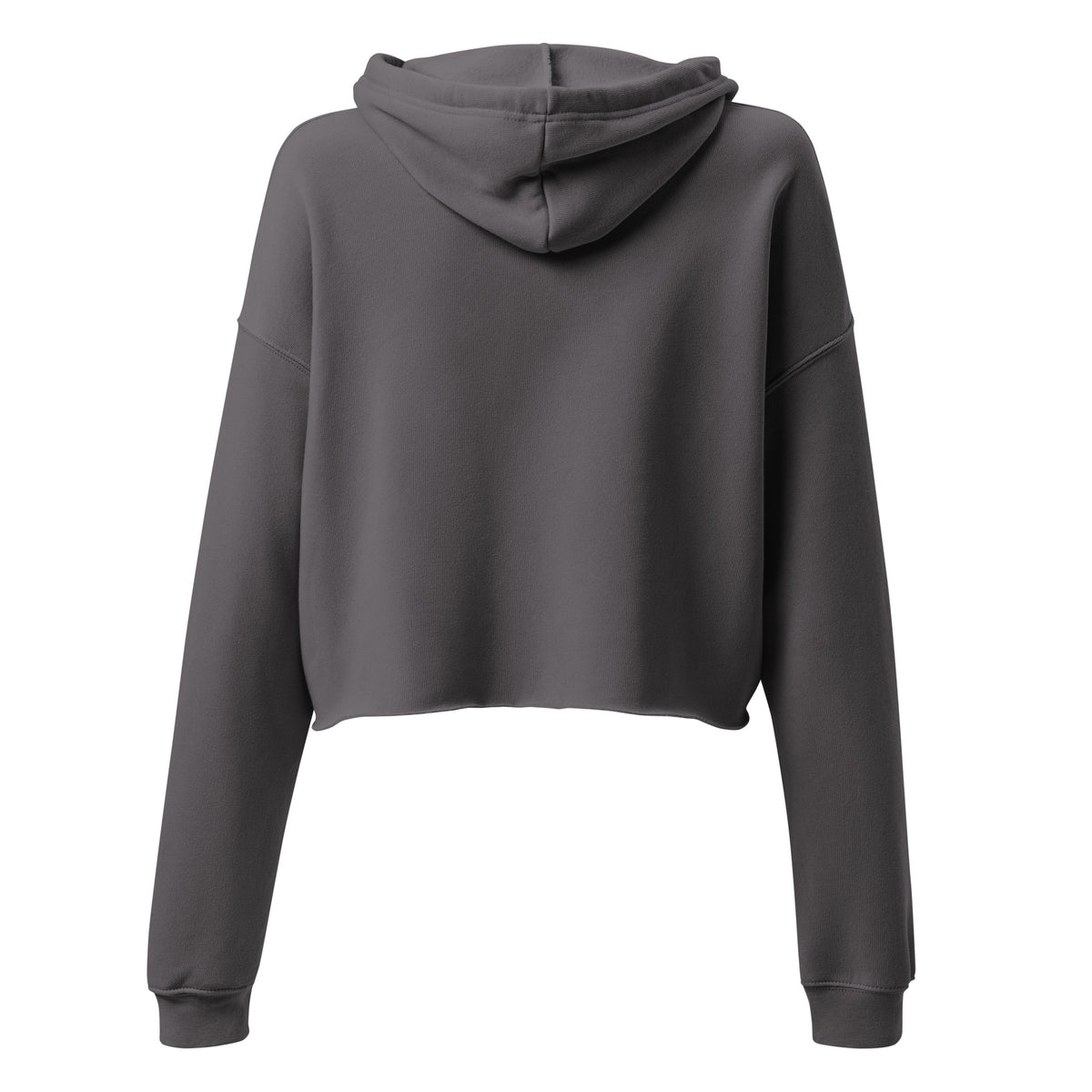 CarmicWorks icon women's crop hoodie